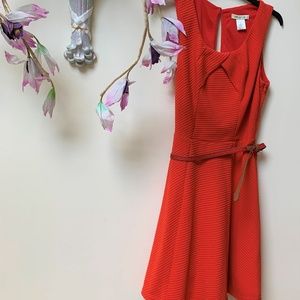 Arden B burnt Orang90% polyesther and 10 % spandex